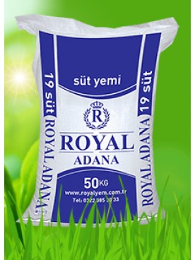 Royal 19 Protein Süt Yemi