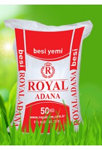 Royal Besi Yemi                